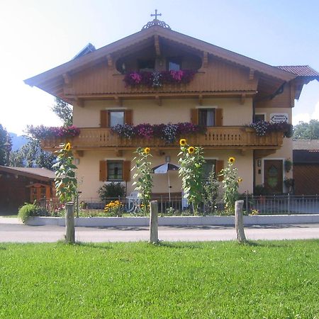 Haus Auni Metzgermeister 韦斯滕多夫 外观 照片